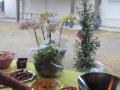 Img 4929